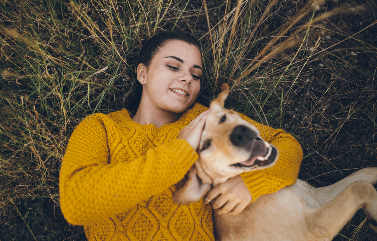 Naya Therapy - Mental Health Therapy for 20 to 29 year olds in Pennsylvania - Naya Therapy Naya Therapy - Mental Health Therapy for 20 to 29 year olds in Pennsylvania